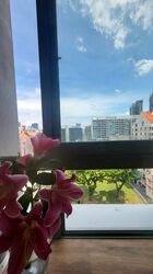 Robertson Edge (D9), Apartment #480563251